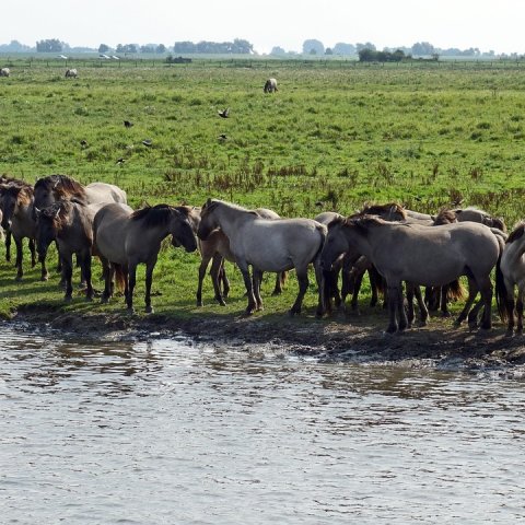 Zdjęcie: Natura 2000 w Polsce: obszary, ograniczenia i plany ochrony