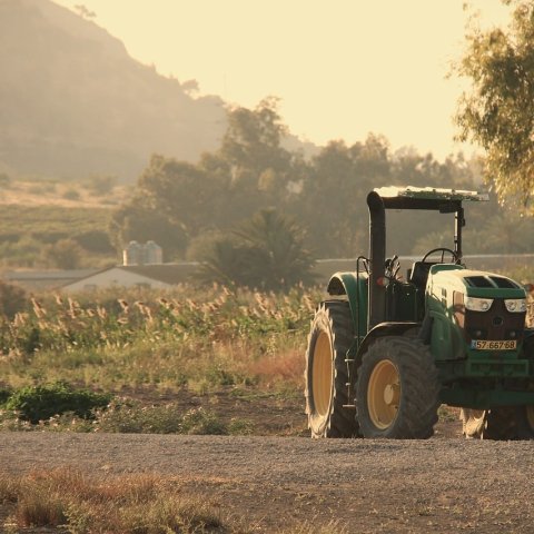 Zdjęcie: Uprawa bezorkowa no-till w Polsce: kiedy faktycznie się opłaca?