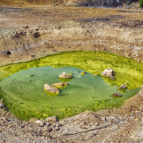 Zdjęcie: Mikroplastik w wodzie pitnej w Polsce: badania, skala problemu i filtry domowe