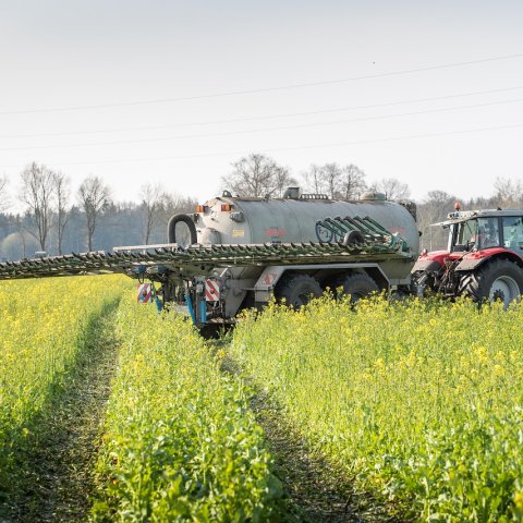 Zdjęcie: Płodozmian regeneratywny: schematy dopasowane do polskich gleb i klimatu