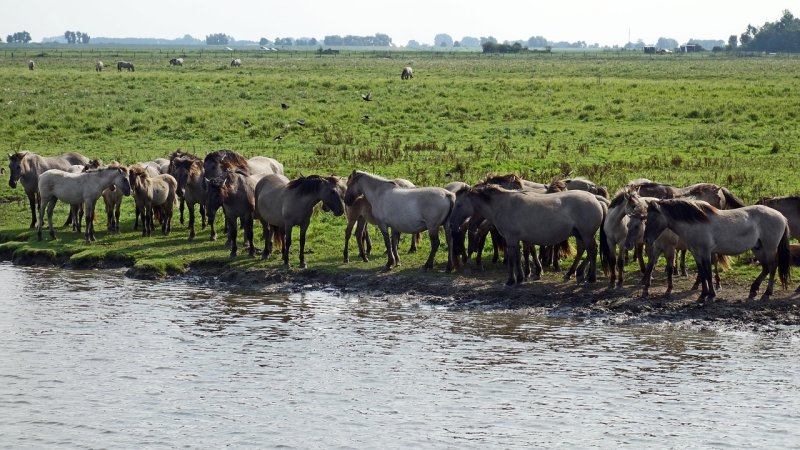 Zdjęcie: Natura 2000 w Polsce: obszary, ograniczenia i plany ochrony