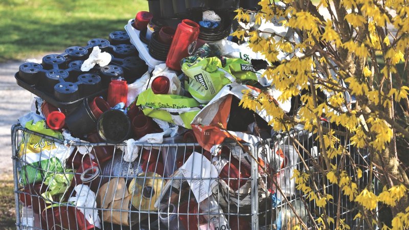 Zdjęcie: Segregacja odpadów w Polsce: aktualne zasady co do czego