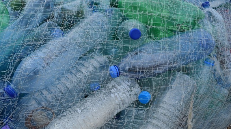 Zdjęcie: SUP+ dla gastronomii: zakazy opakowań i zamienniki 2026