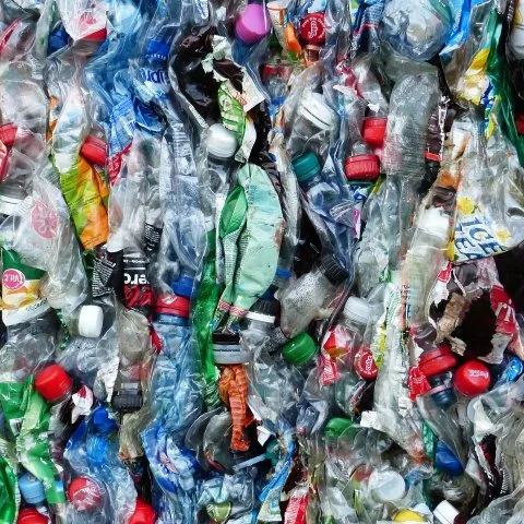 Zdjęcie: Recykling PET w Polsce: droga butelki od skupu do granulatu